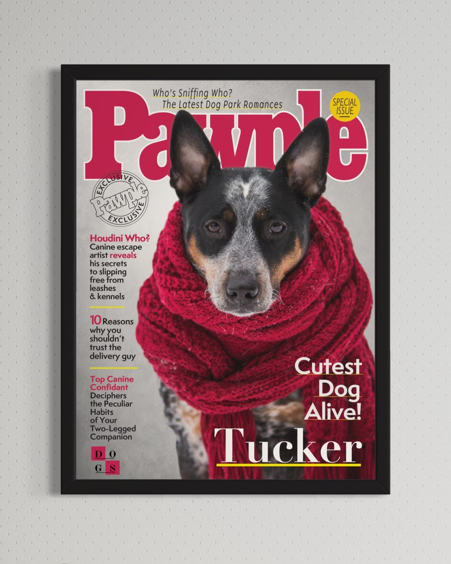 Pawple Magazine