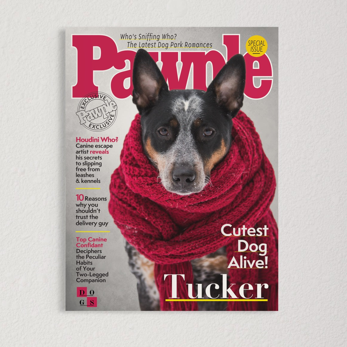 Pawple Magazine