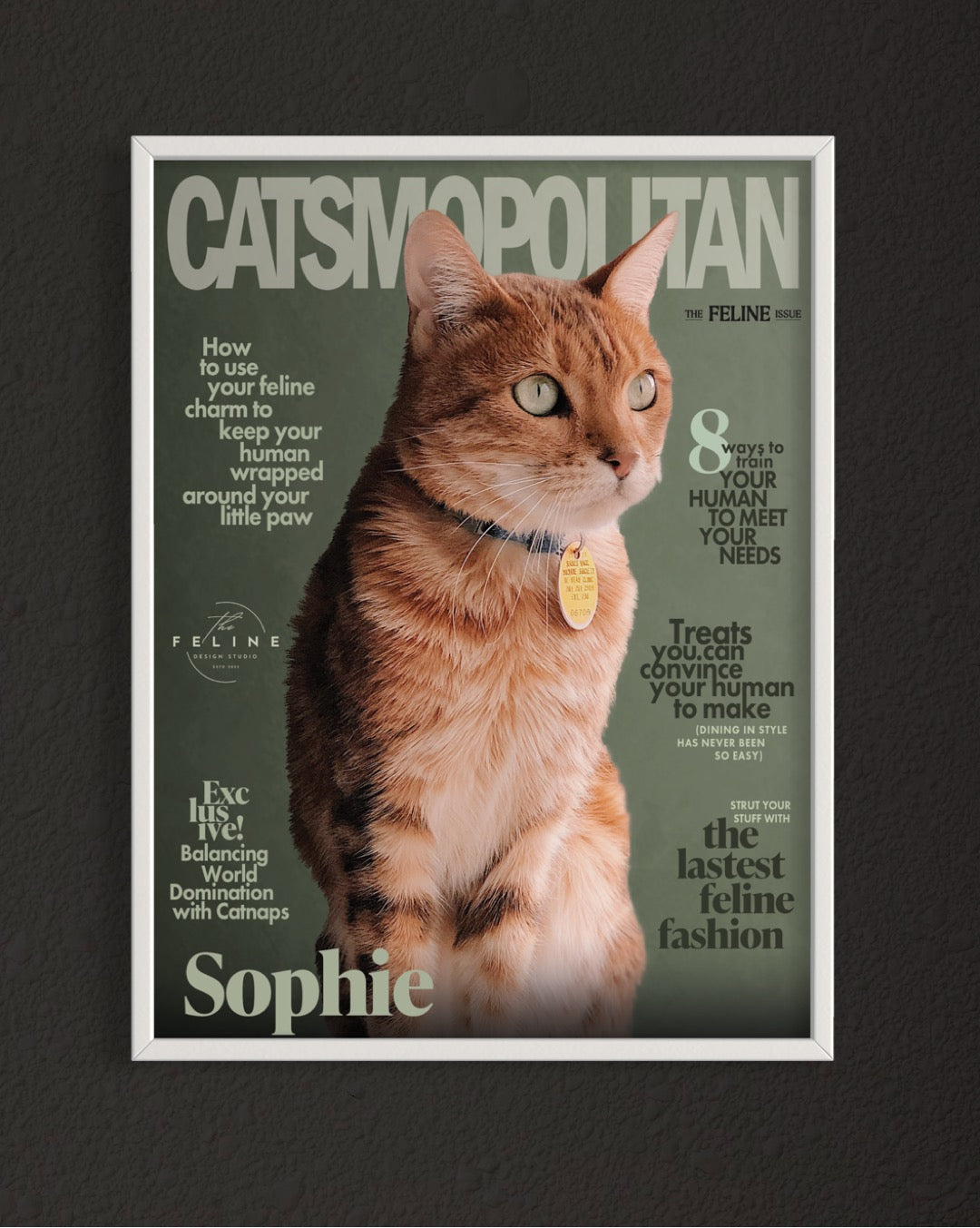 Catsmopolitan