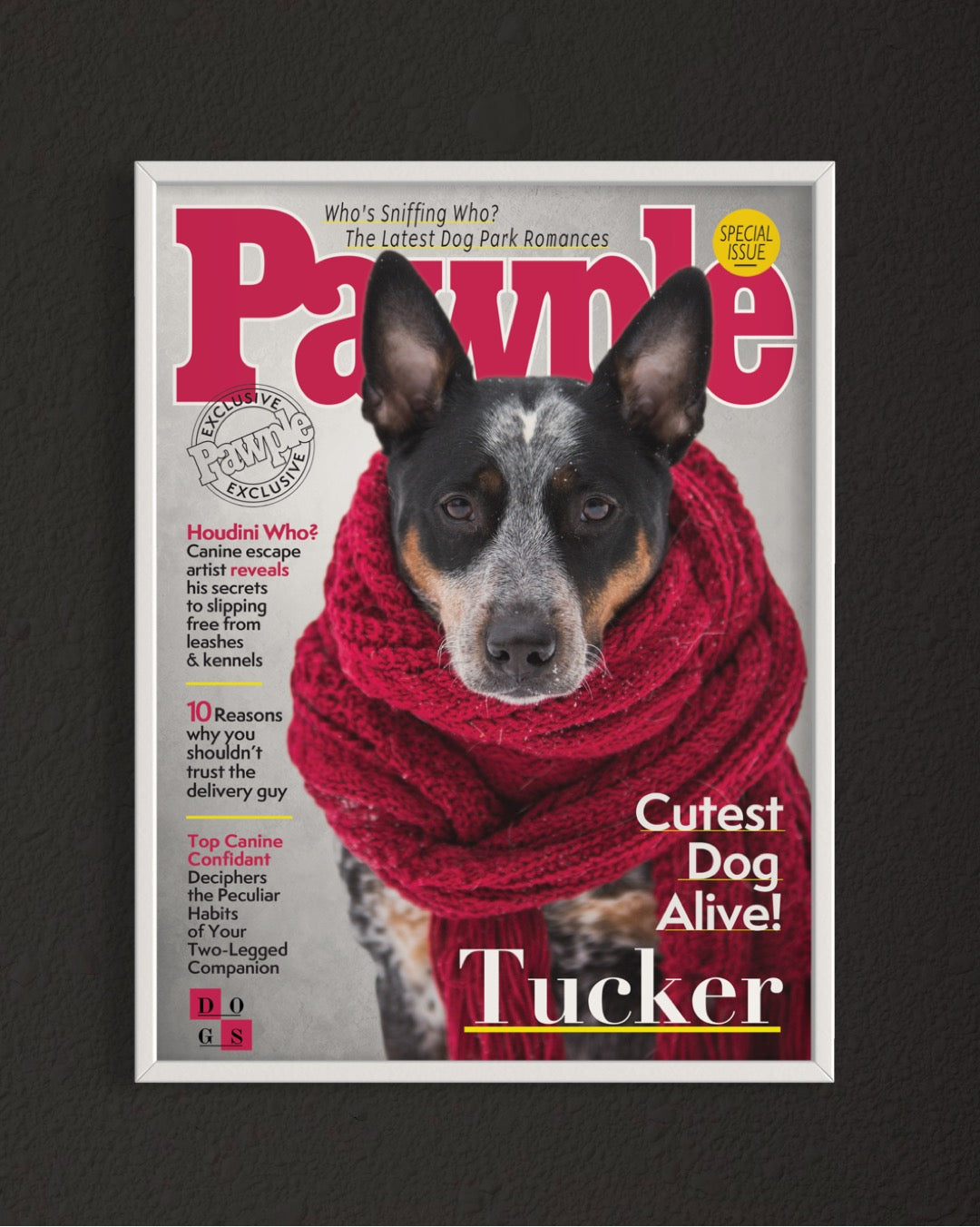 Pawple Magazine