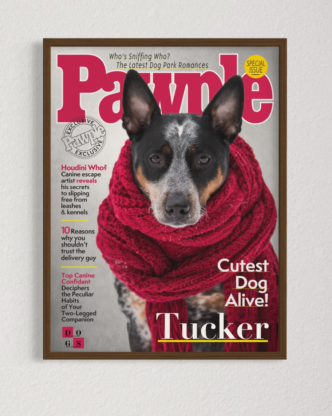 Pawple Magazine