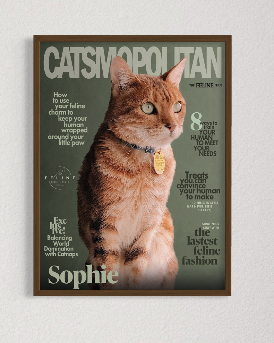 Catsmopolitan