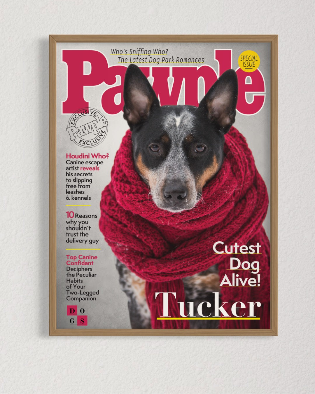 Pawple Magazine